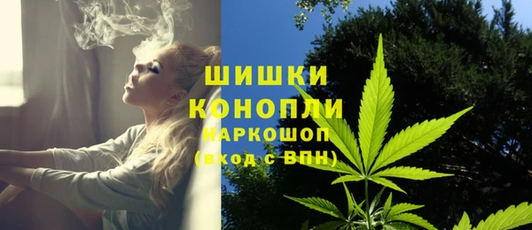 дживик Богданович