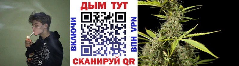 Купить где  Татарск  Марихуана семена 